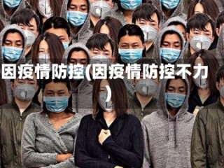 因疫情防控(因疫情防控不力)