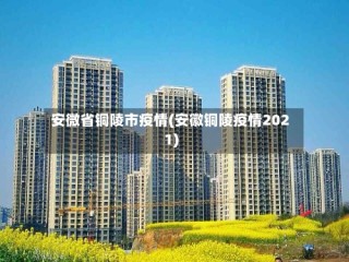 安微省铜陵市疫情(安徽铜陵疫情2021)