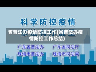 省普法办疫情防控工作(省普法办疫情防控工作总结)