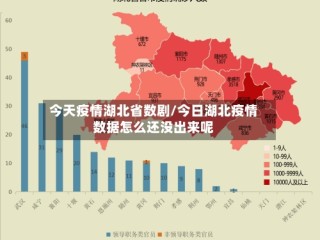 今天疫情湖北省数剧/今日湖北疫情数据怎么还没出来呢