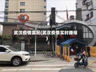 武汉疫情实况(武汉疫情实时播报)