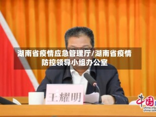 湖南省疫情应急管理厅/湖南省疫情防控领导小组办公室