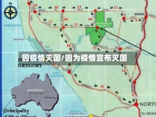 因疫情灭国/因为疫情宣布灭国
