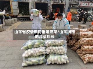 山东省疫情期间捐赠蔬菜/山东捐赠的蔬菜后续
