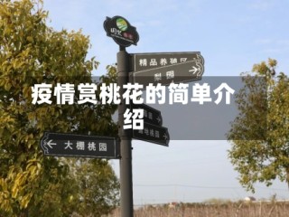 疫情赏桃花的简单介绍