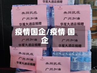 疫情国企/疫情 国企