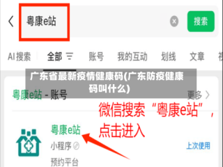 广东省最新疫情健康码(广东防疫健康码叫什么)