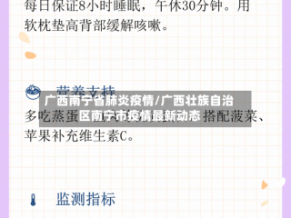 广西南宁省肺炎疫情/广西壮族自治区南宁市疫情最新动态