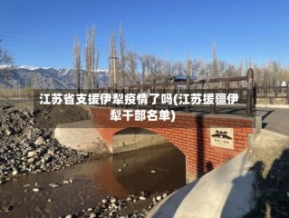 江苏省支援伊犁疫情了吗(江苏援疆伊犁干部名单)