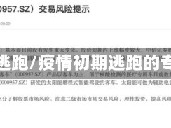 疫情逃跑/疫情初期逃跑的专家