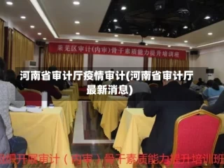 河南省审计厅疫情审计(河南省审计厅最新消息)