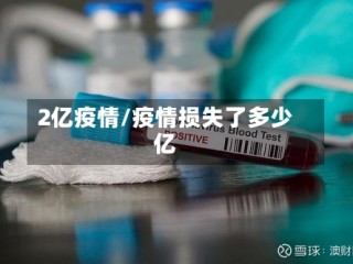 2亿疫情/疫情损失了多少亿