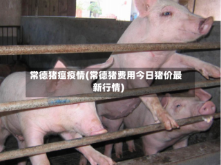 常德猪瘟疫情(常德猪费用今日猪价最新行情)