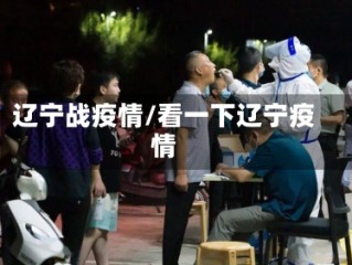 辽宁战疫情/看一下辽宁疫情
