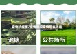 宠物抗疫情/疫情期间宠物怎么消毒