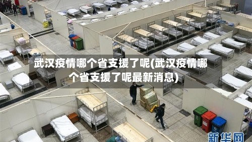 武汉疫情哪个省支援了呢(武汉疫情哪个省支援了呢最新消息)
