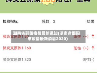 湖南省邵阳疫情最新通知(湖南省邵阳市疫情最新消息2020)