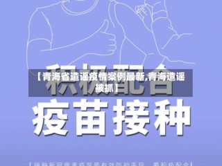 【青海省造谣疫情案例最新,青海造谣被抓】