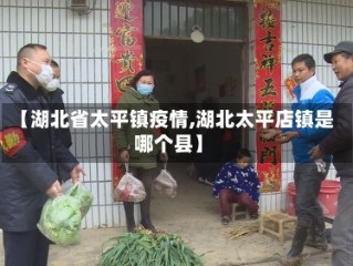 【湖北省太平镇疫情,湖北太平店镇是哪个县】