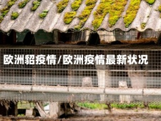 欧洲貂疫情/欧洲疫情最新状况