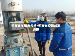 河南省午钢市疫情/河南省疫情状况通报