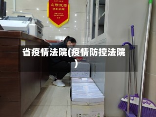 省疫情法院(疫情防控法院)