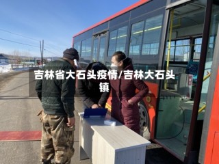吉林省大石头疫情/吉林大石头镇