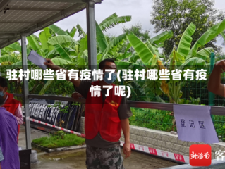 驻村哪些省有疫情了(驻村哪些省有疫情了呢)