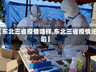 【东北三省疫情啥样,东北三省疫情沦陷】