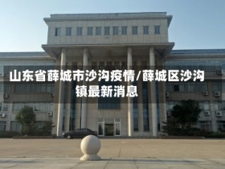 山东省薛城市沙沟疫情/薛城区沙沟镇最新消息
