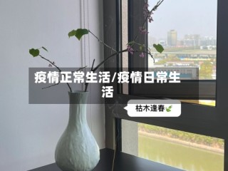 疫情正常生活/疫情日常生活