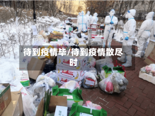 待到疫情毕/待到疫情散尽时