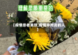 【疫情患者离世,疫情中死去的人】