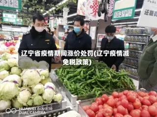 辽宁省疫情期间涨价处罚(辽宁疫情减免税政策)