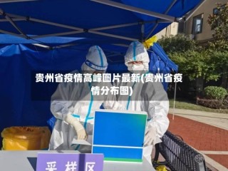 贵州省疫情高峰图片最新(贵州省疫情分布图)