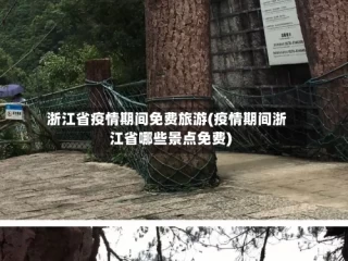 浙江省疫情期间免费旅游(疫情期间浙江省哪些景点免费)