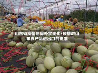 山东省疫情期间外贸变化/疫情对山东农产品进出口的影响