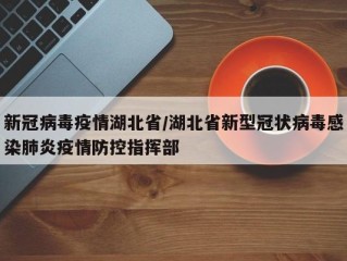 新冠病毒疫情湖北省/湖北省新型冠状病毒感染肺炎疫情防控指挥部