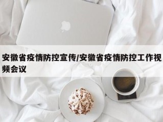 安徽省疫情防控宣传/安徽省疫情防控工作视频会议
