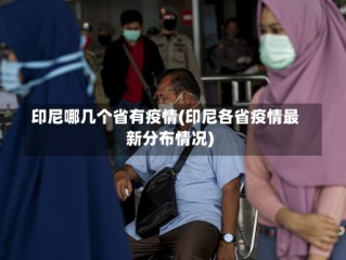 印尼哪几个省有疫情(印尼各省疫情最新分布情况)