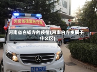 河南省白杨寺的疫情(河南白寺乡属于什么区)