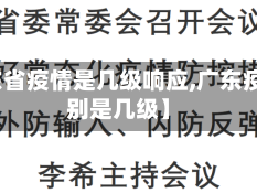 【广东省疫情是几级响应,广东疫情级别是几级】
