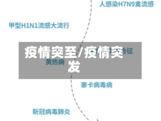 疫情突至/疫情突发