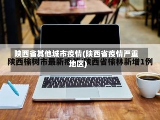 陕西省其他城市疫情(陕西省疫情严重地区)
