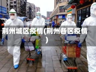 荆州城区疫情(荆州各区疫情)