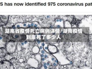 湖南省疫情死亡病例详情/湖南疫情到底死了多少人