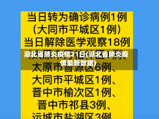 湖北省肺炎疫情21日(湖北省肺炎疫情最新数据)