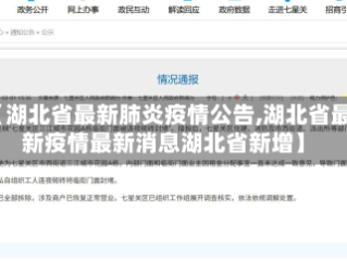 【湖北省最新肺炎疫情公告,湖北省最新疫情最新消息湖北省新增】