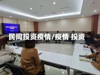 民间投资疫情/疫情 投资