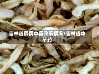 吉林省疫情中药政策情况/吉林省中草药